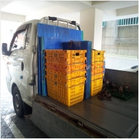 대전동구포장이사-826504